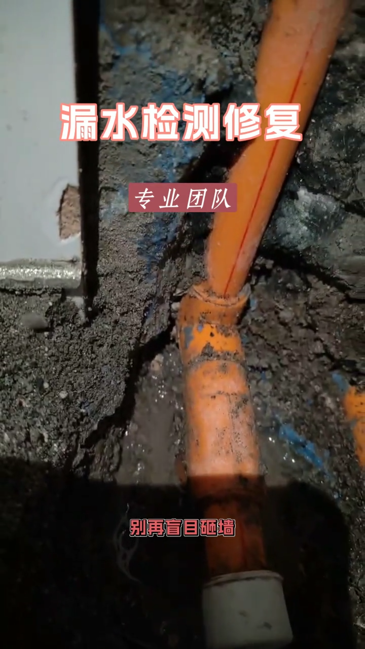 配图2